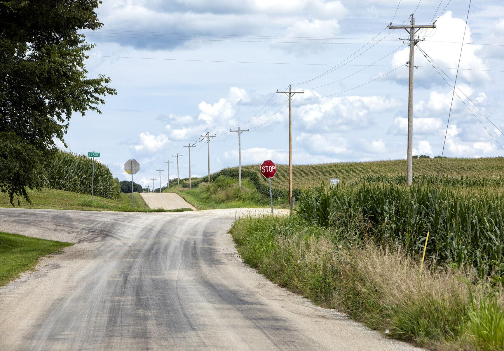 Corn lining roads